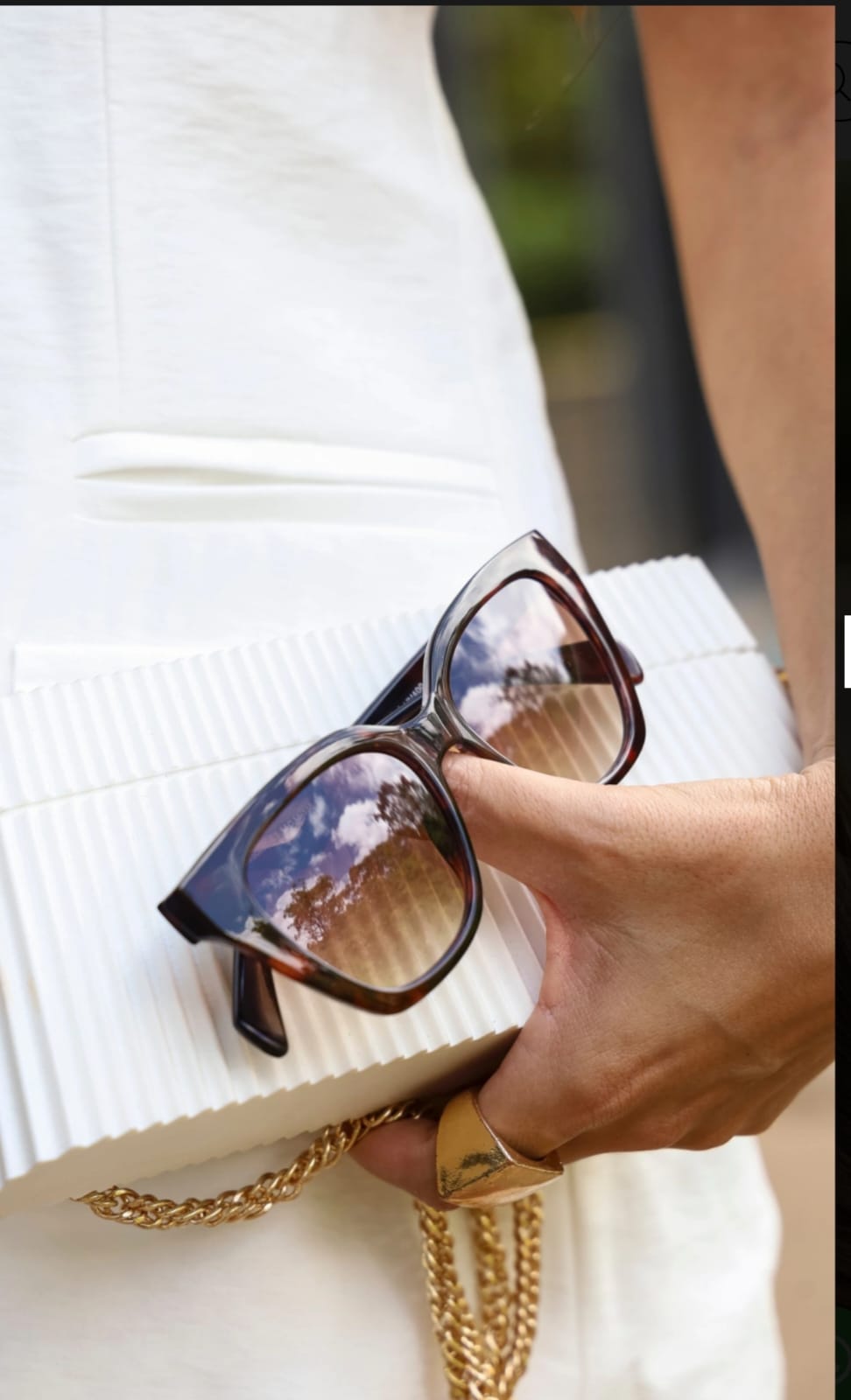 Gatinho Ipanema - Imagem 11