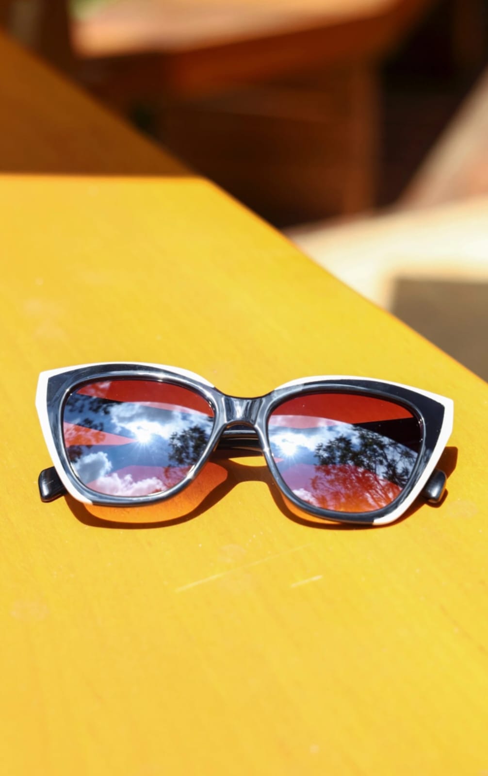 Gatinho Ipanema - Imagem 4